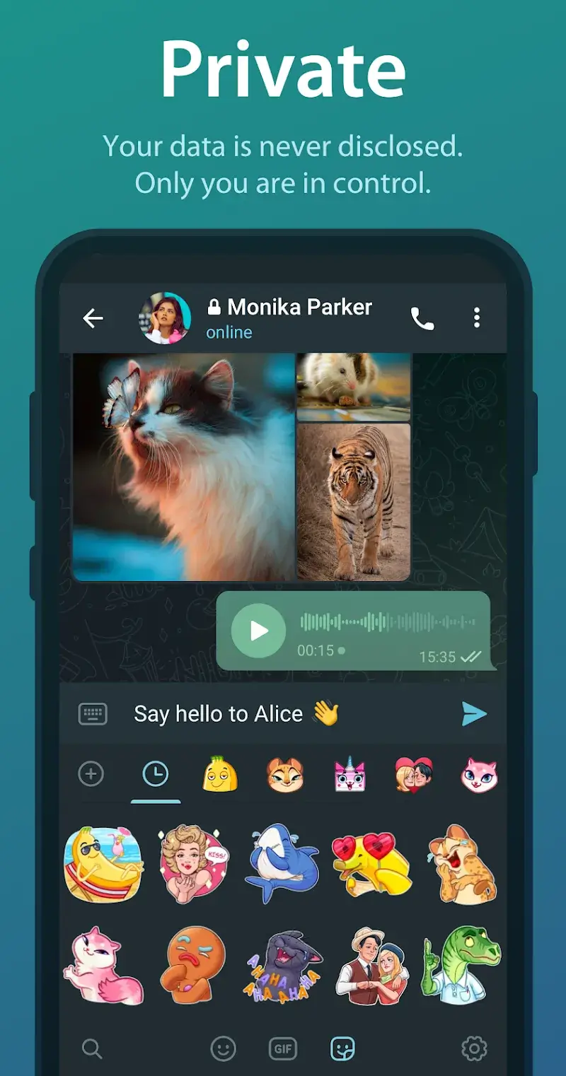 Telegram - screenshot 4